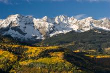 scenic photo of aspen